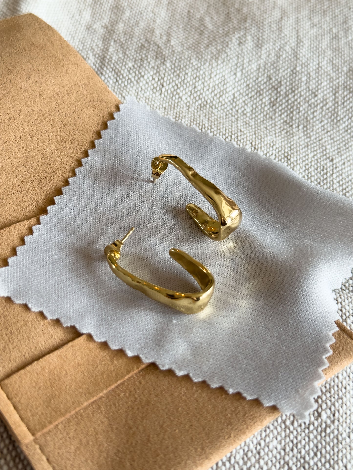 Earrings Gold Hoops
