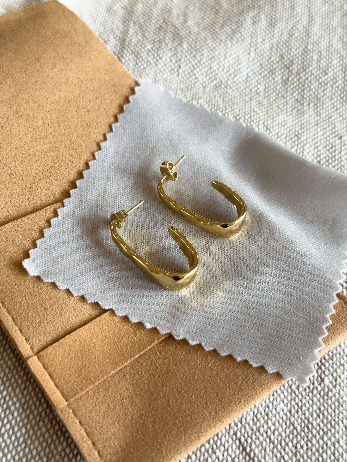 Earrings Gold Hoops
